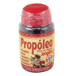 PROPOLEO JALEA 350 GR FRESHLY PROPOLEO Y VITAMINA C
