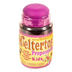 MIELTERTOS PROPOMIELITO KIDS POTE 350 GR PROPOLEO Y VITAMINA C