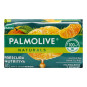 JABON PALMOLIVE MANDARINA Y ROMERO 110GR 