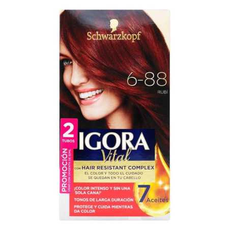 IGORA VITAL KIT 6-88 PROM.2TUB RUBI OFER TINTES