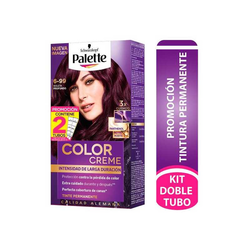 PALETTE COLOR CRE KIT 6-99 VIO.PROF. D.T TINTES