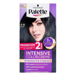 PALETTE COLOR CRE KIT 1-0 NEGRO D.T TINTES