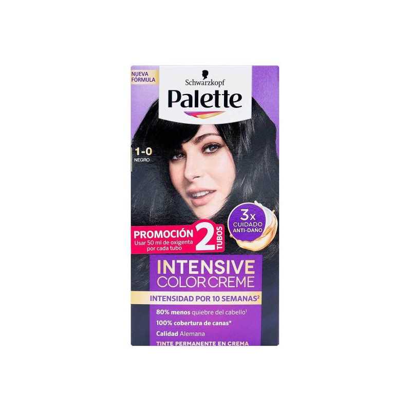 PALETTE COLOR CRE KIT 1-0 NEGRO D.T TINTES