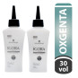 2 OXIGENTA VITAL 30 VOLUMENES 50ML P.E COMPLEMENTOS TINTES