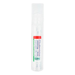 CLINDAMICINA 600 MG 4 ML AMP CORPAUL CLINDAMICINA 
