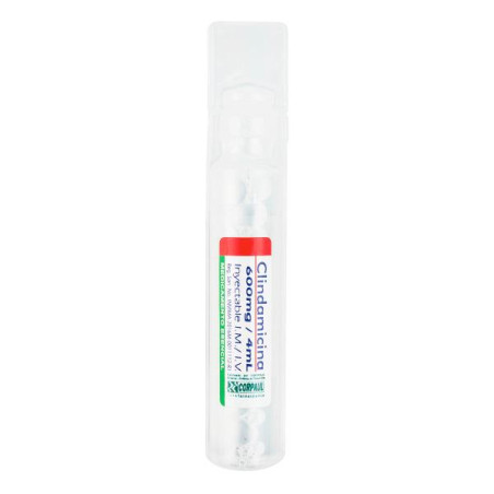CLINDAMICINA 600 MG 4 ML AMP CORPAUL CLINDAMICINA 