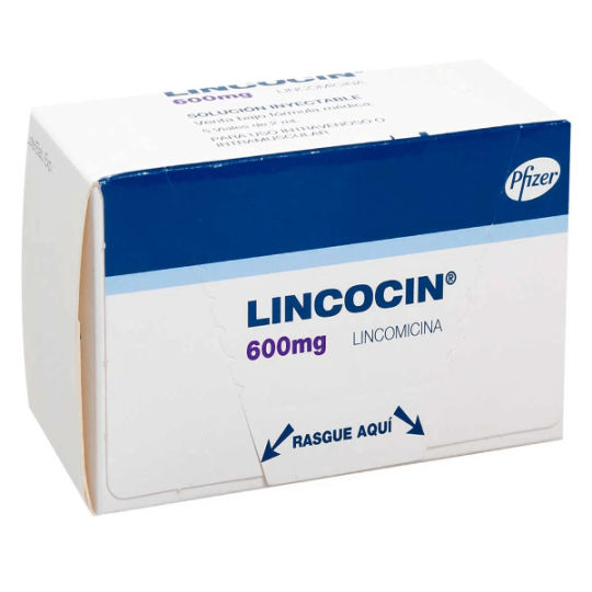 LINCOCIN 600 MG 5 AMPOLLAS LINCOMICINA LINCOCIN 600 MG 5 AMPOLLAS LINCOMICINA