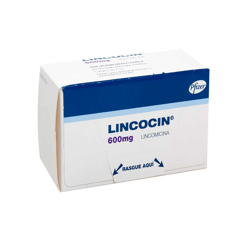 LINCOCIN 600 MG 5 AMPOLLAS LINCOMICINA LINCOCIN 600 MG 5 AMPOLLAS LINCOMICINA